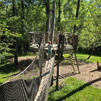 Beech Creek Botanical Garden & Nature Preserve photo 6