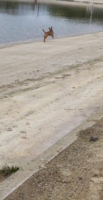 Kim Tam Park at Melanie Springs photo 2