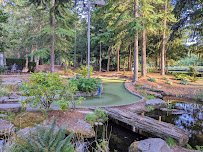 Mini Golf photo 5