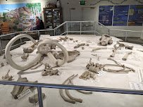 Humboldt Museum photo 6