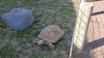 Lee Richardson Zoo photo 2
