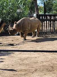 Lee Richardson Zoo photo 4