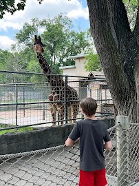 Lee Richardson Zoo photo 5