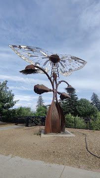 Truckee River Whitewater Park photo 4