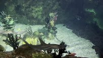 Jewels of the Sea photo 2