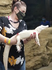 LegaSea Aquarium & The Reptarium photo 4