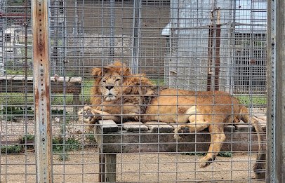Animal Haven Farm Zoo