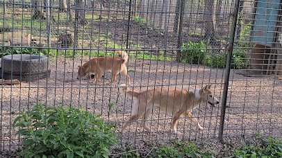 Animal Haven Farm Zoo photo 2