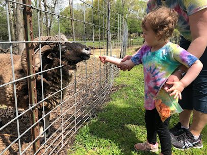 Animal Haven Farm Zoo photo 3