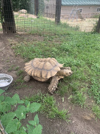 Animal Haven Farm Zoo photo 5