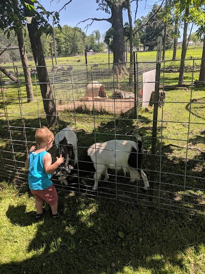Animal Haven Farm Zoo photo 6