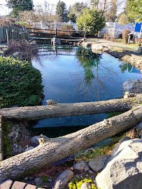Beaver Falls Miniature Golf