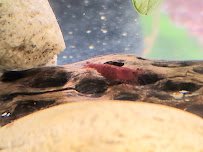 Aquarius AquaCare photo 3