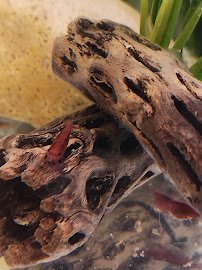 Aquarius AquaCare photo 4