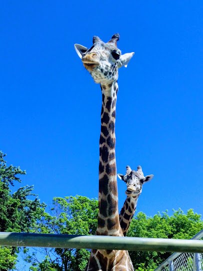 Racine Zoo photo 4