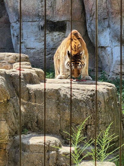 Racine Zoo photo 5