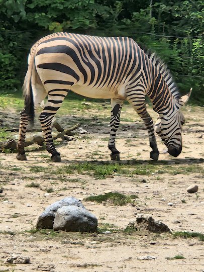 Racine Zoo photo 6