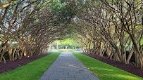 The Dallas Arboretum and Botanical Garden photo 2