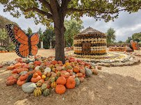 The Dallas Arboretum and Botanical Garden photo 3