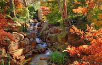 The Dallas Arboretum and Botanical Garden photo 5