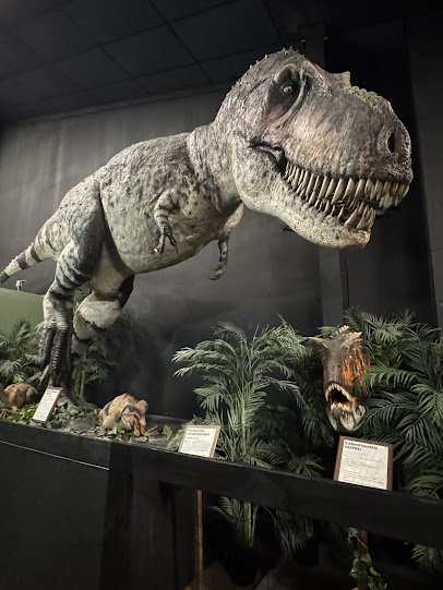 Dinosaur Museum photo 3