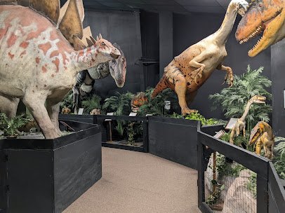 Dinosaur Museum photo 4