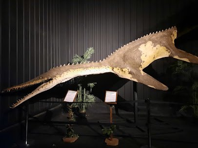 Dinosaur Museum photo 5