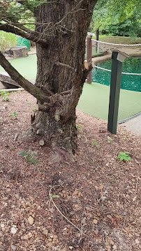 Woodland Mead Park Mini-Golf photo 2