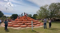 Mesilla Valley Maze photo 2