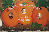 Mesilla Valley Maze photo 5