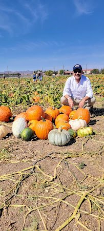 Mesilla Valley Maze photo 6