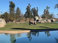 Fresno Chaffee Zoo photo 4