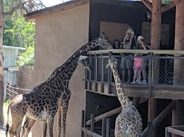 Fresno Chaffee Zoo photo 6