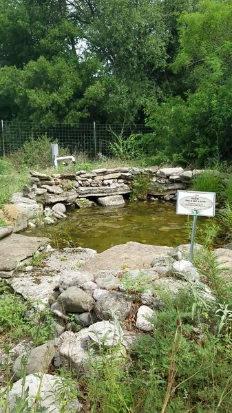 Riverside Nature Center photo 2