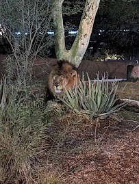 Phoenix Zoo Gift Shop photo 3