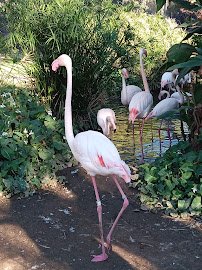 Phoenix Zoo Gift Shop photo 5