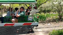 Cincinnati Zoo Train photo 2