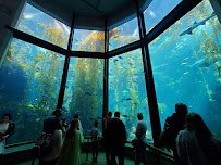 Monterey Bay Aquarium: Seafood Watch Program photo 3