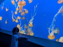 Monterey Bay Aquarium: Seafood Watch Program photo 4