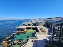 Monterey Bay Aquarium: Seafood Watch Program photo 5