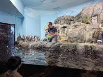 Monterey Bay Aquarium: Seafood Watch Program photo 6
