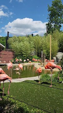 Turtle Back Zoo Carousel photo 2