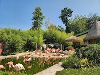 Turtle Back Zoo Carousel photo 4