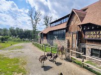 Turtle Back Zoo Carousel photo 5