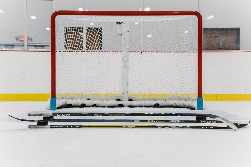 Ice Barn Indy photo 4