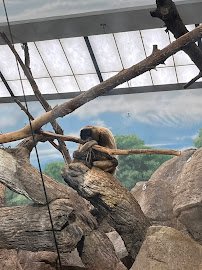 Primates House photo 5