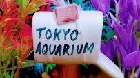 Tokyo Aquarium🐠 photo 3