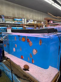 Tokyo Aquarium🐠 photo 4