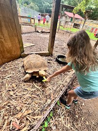 North Georgia Wildlife Park and Safari photo 4