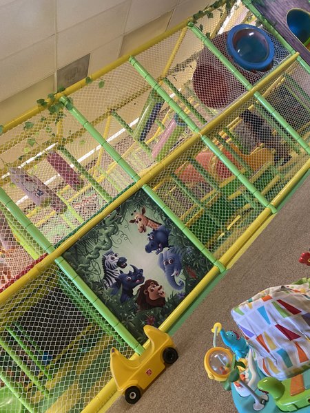 Kiddie Jungle photo 5